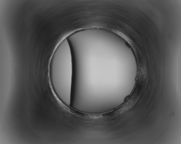 X0000086721055200704130724