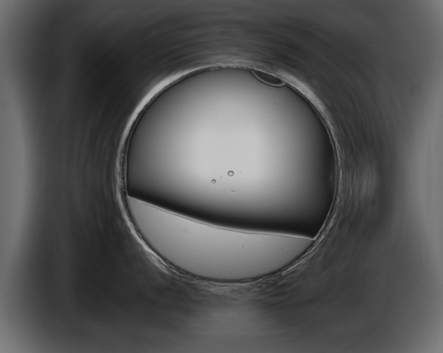 X0000086721056200704130724