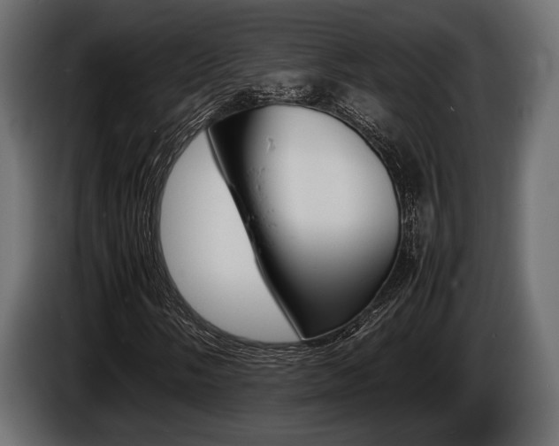 X0000086721058200704130724