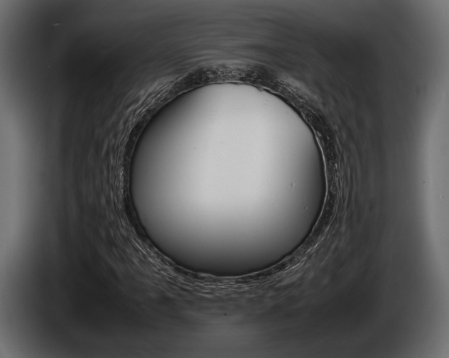 X0000086721061200704130724