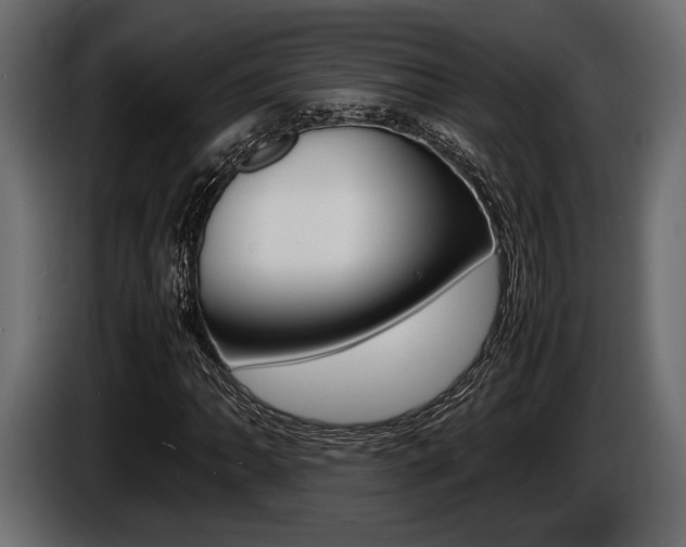 X0000086721062200704130724
