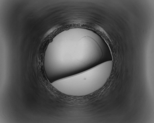 X0000086721064200704130724