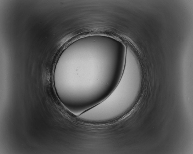 X0000086721065200704130724