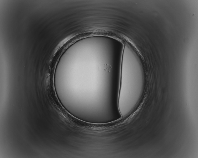 X0000086721066200704130724