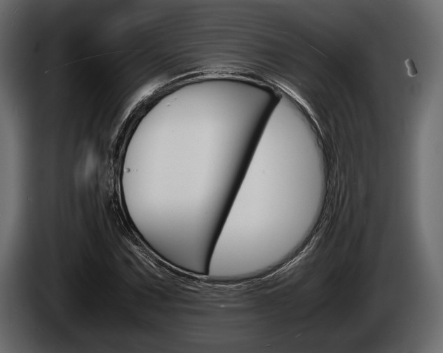 X0000086721067200704130724