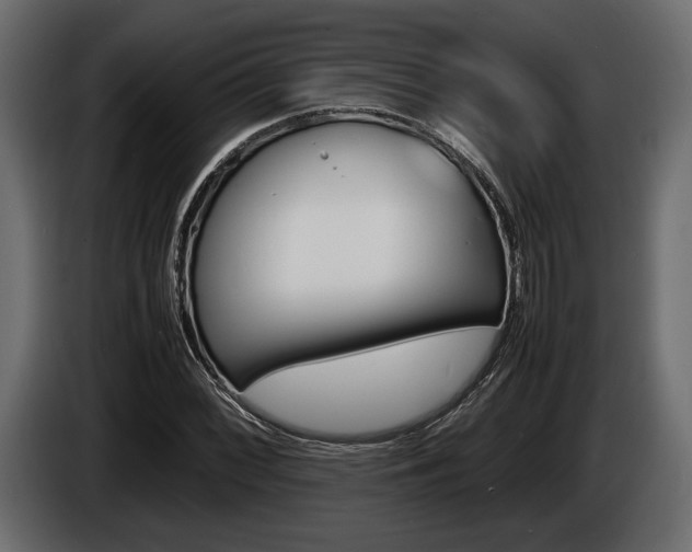 X0000086721068200704130724