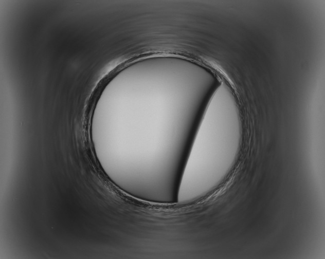 X0000086721071200704130724