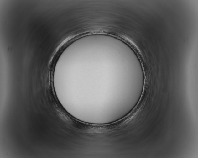 X0000086721075200704130724