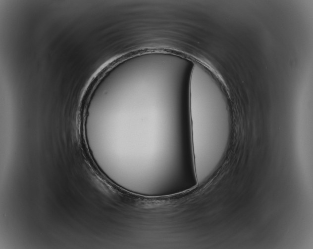 X0000086721076200704130724