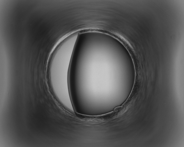 X0000086721077200704130724