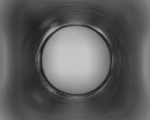 X0000086721078200704130724