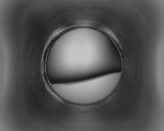 X0000086721080200704130724