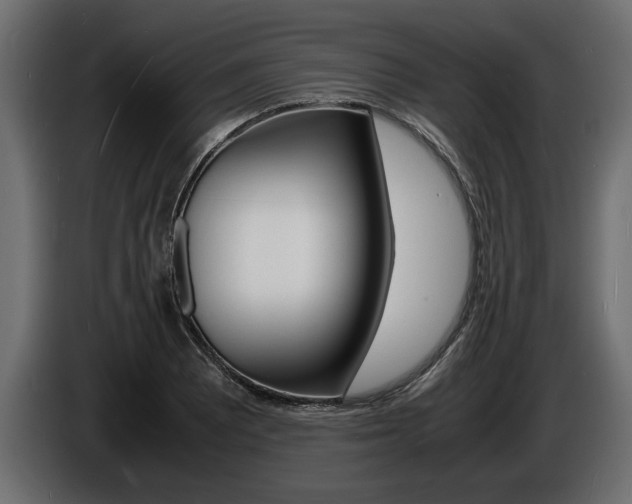 X0000086721081200704130724