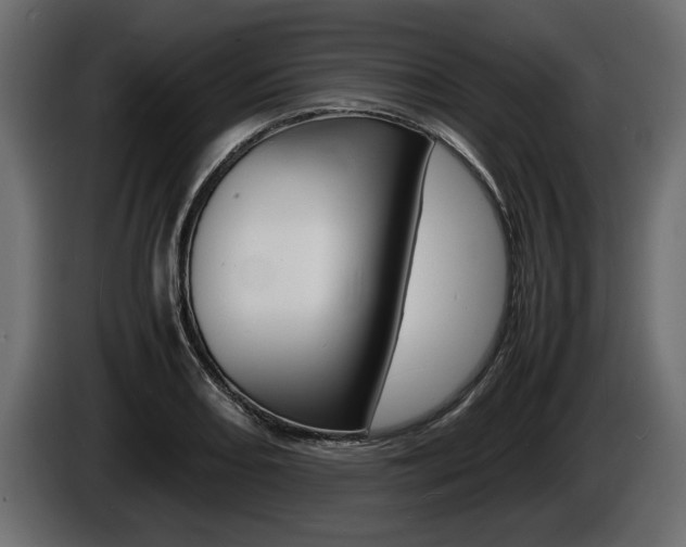 X0000086721082200704130724
