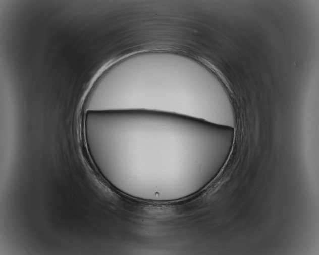 X0000086721083200704130724