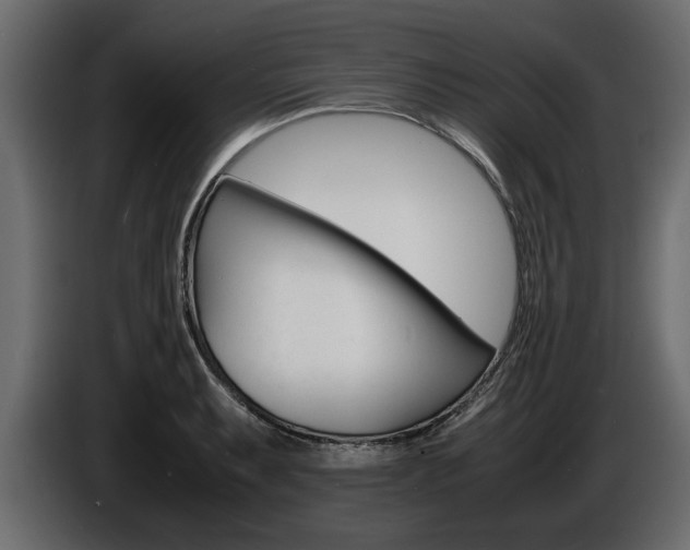 X0000086721087200704130723
