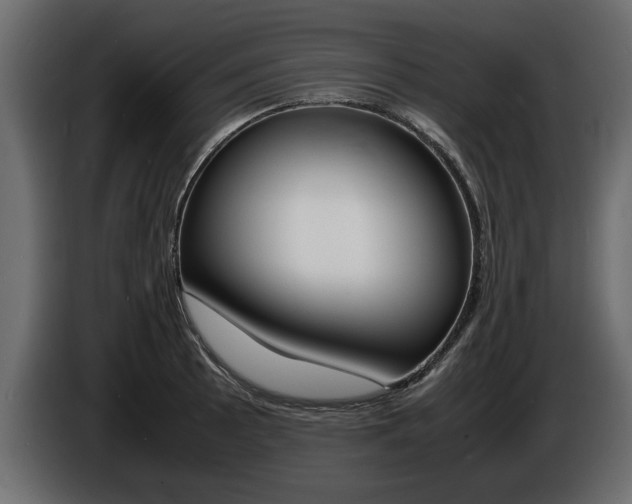 X0000086721089200704130723