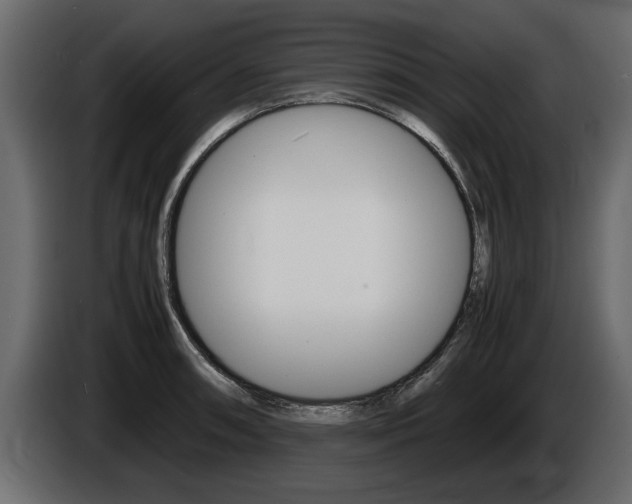 X0000086721090200704130723