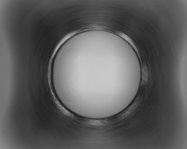 X0000086721098200704130723