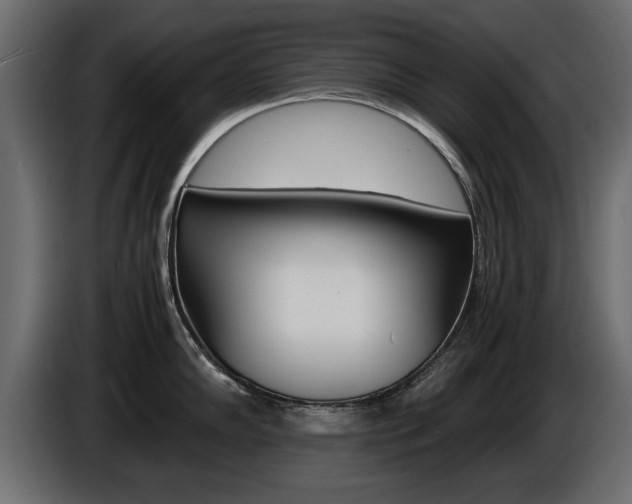 X0000086721102200704130723