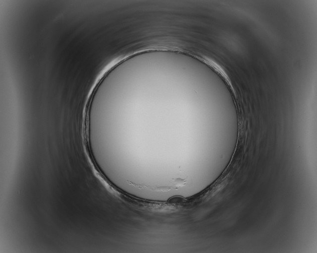 X0000086721103200704130723