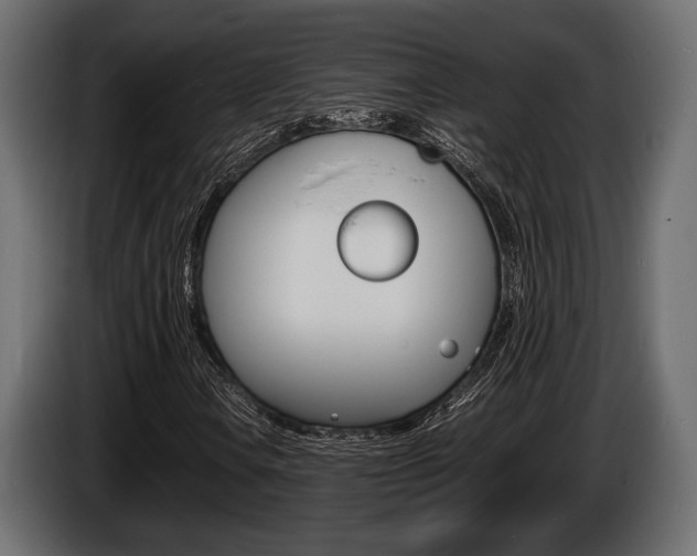 X0000086721106200704130723