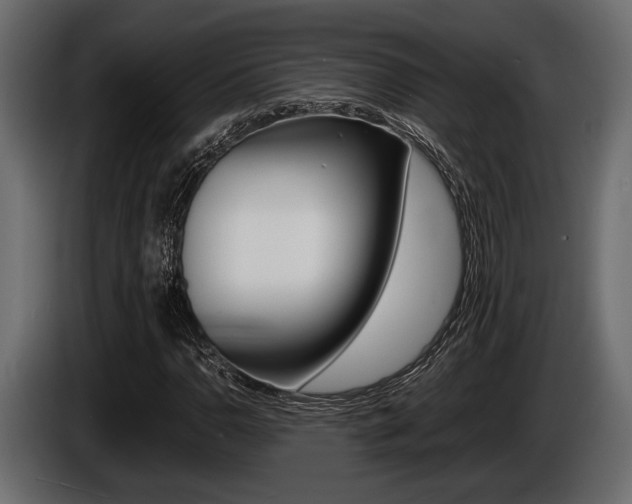 X0000086721110200704130723