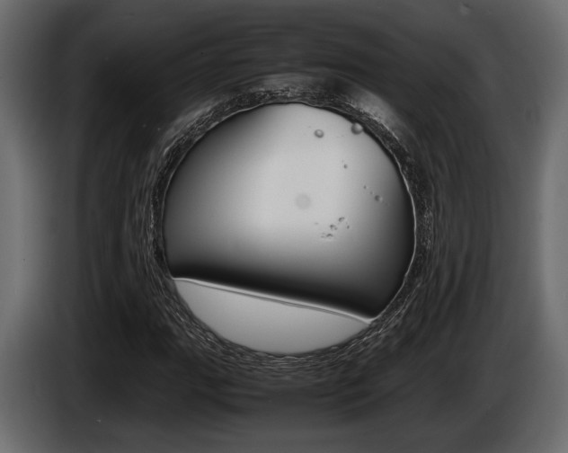 X0000086721111200704130723