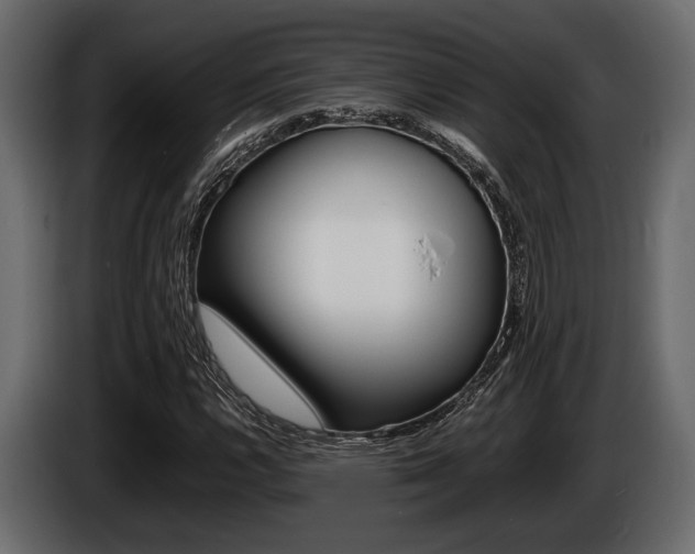 X0000086721112200704130723
