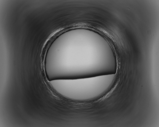 X0000086721117200704130723