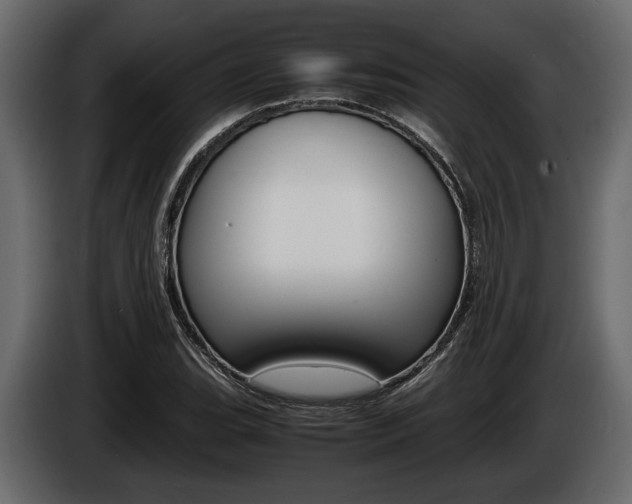 X0000086721119200704130723