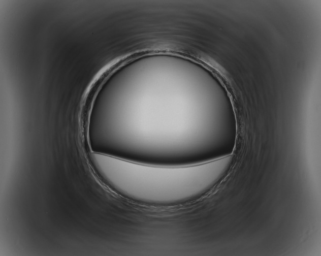 X0000086721120200704130723