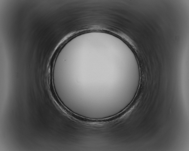 X0000086721126200704130723