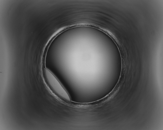 X0000086721134200704130723