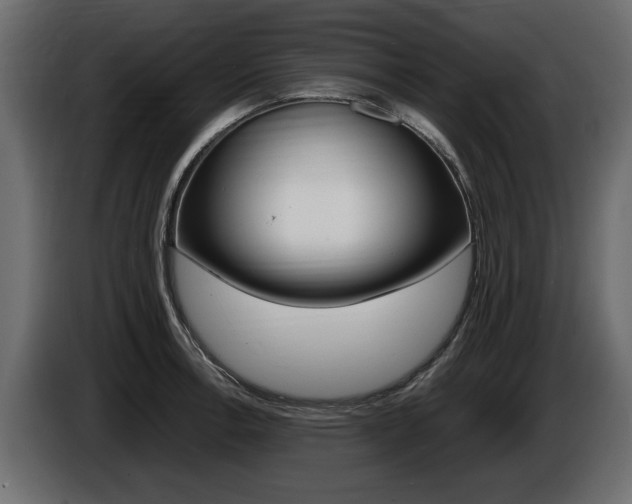 X0000086721138200704130723