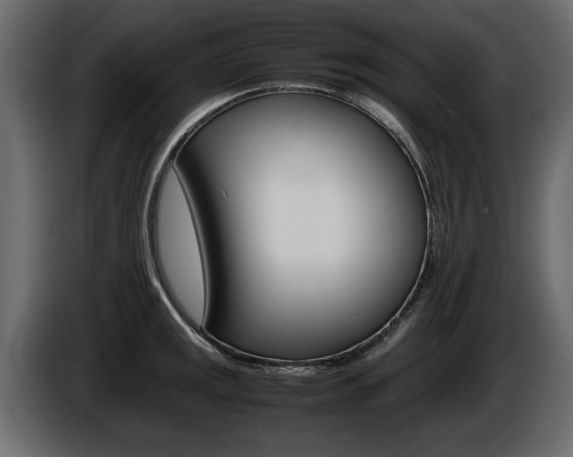 X0000086721141200704130723