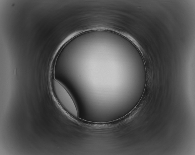 X0000086721142200704130723
