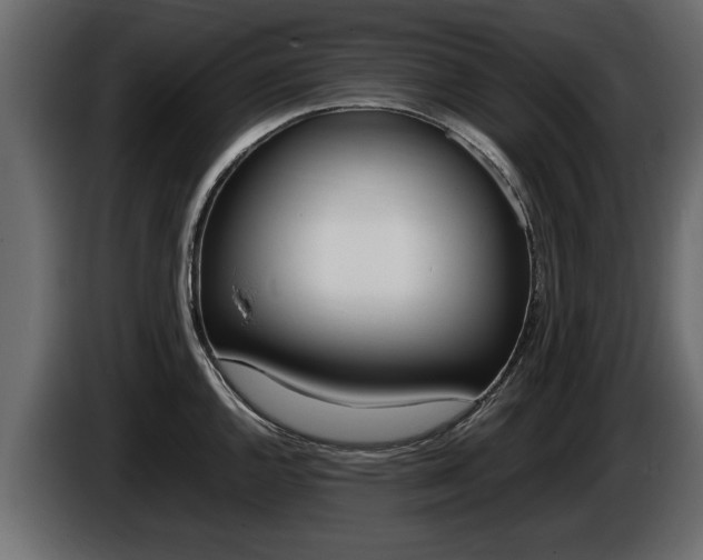 X0000086721144200704130723
