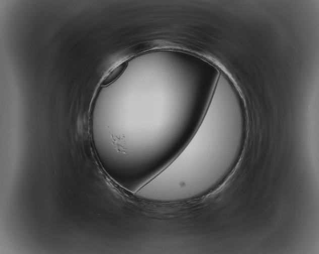 X0000086721145200704130723