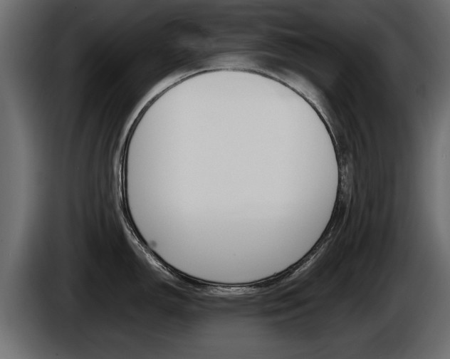 X0000086721150200704130723