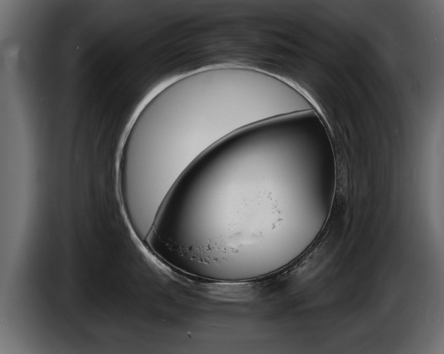 X0000086721151200704130723