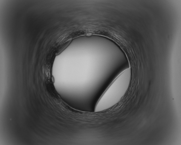X0000086721155200704130723