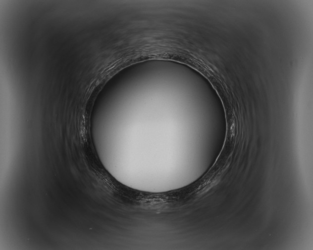 X0000086721156200704130723