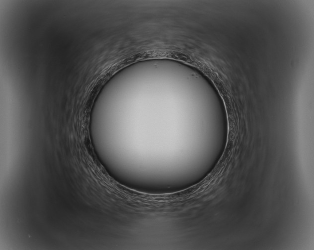 X0000086721157200704130722