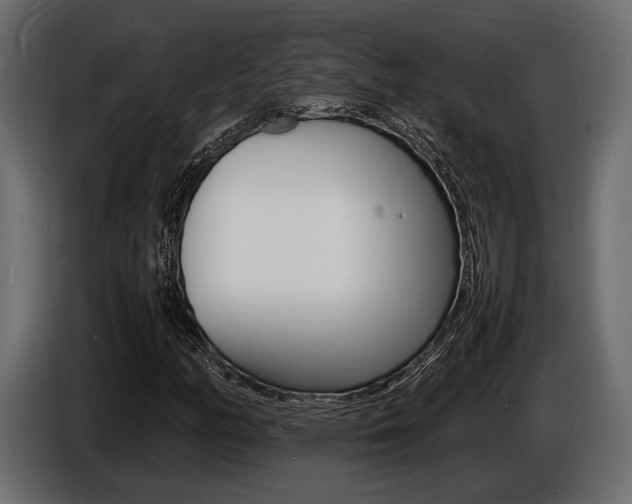 X0000086721158200704130722
