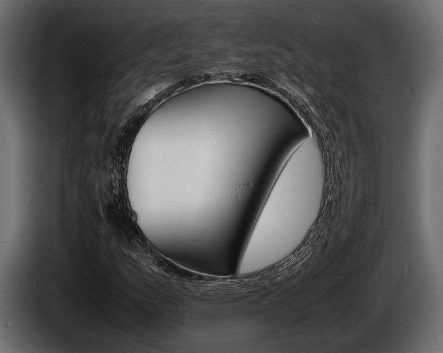 X0000086721159200704130722