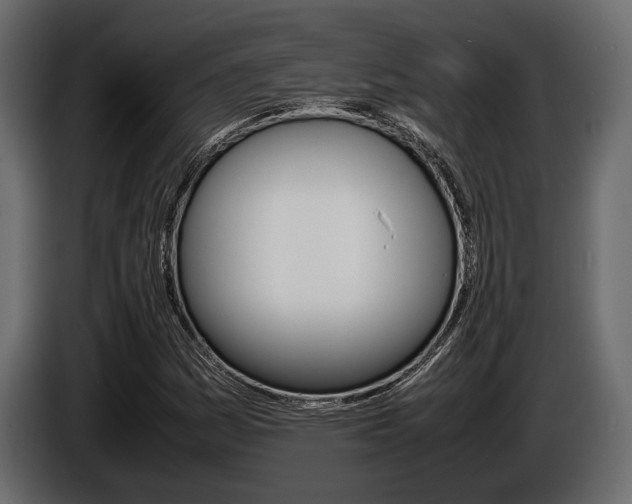 X0000086721161200704130722