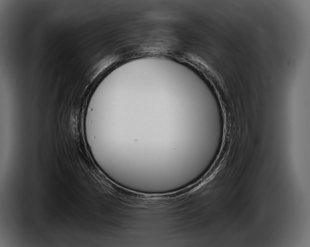 X0000086721162200704130722