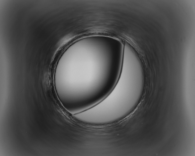 X0000086721164200704130722
