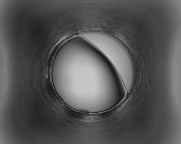 X0000086721165200704130722